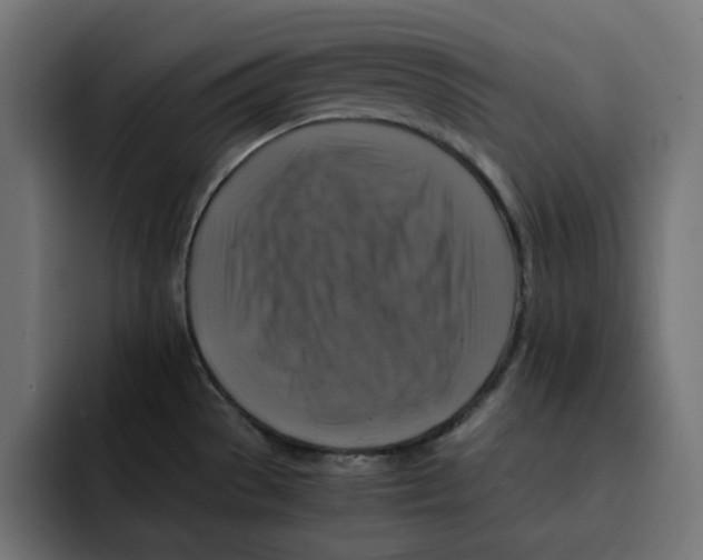 X0000092001529200710040958