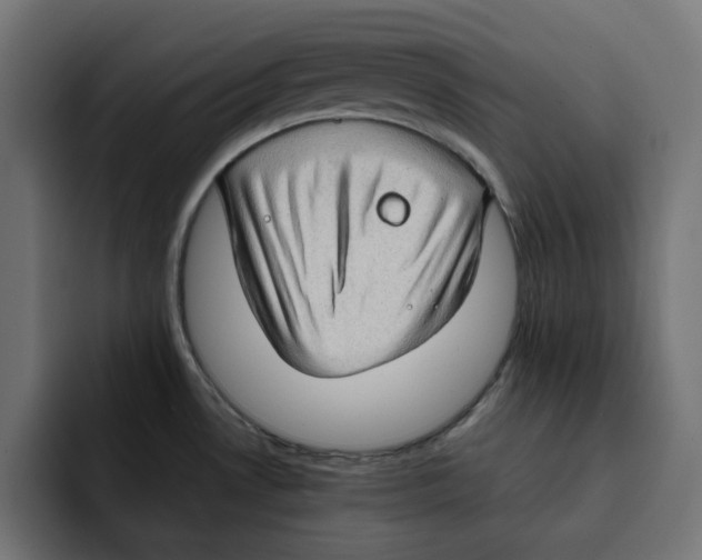 X0000092001530200710040958