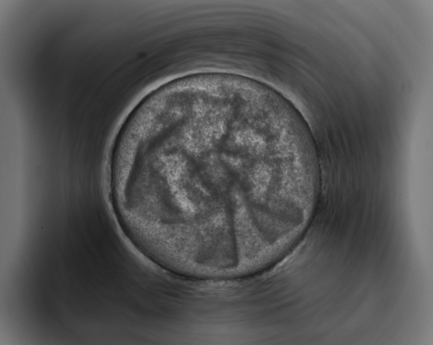 X0000092001531200710040958