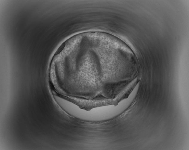 X0000092001532200710040958