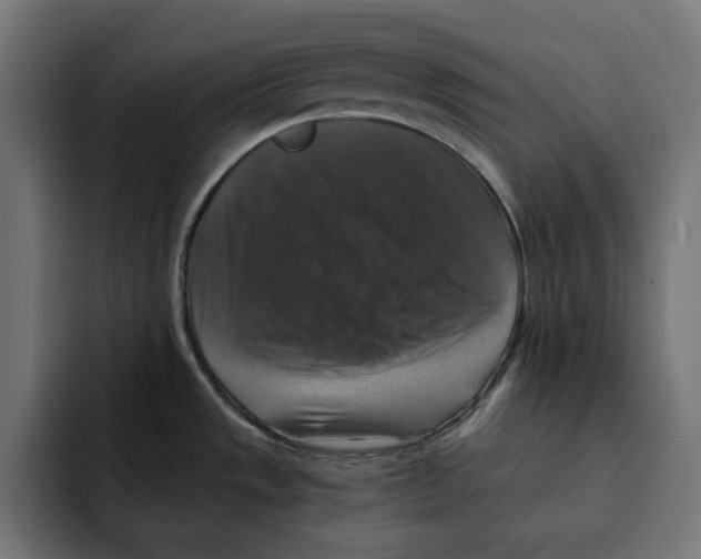 X0000092001533200710040958