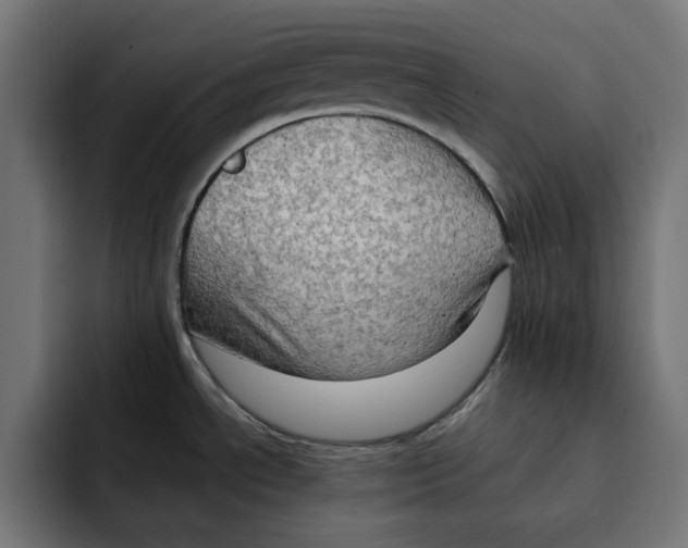 X0000092001534200710040958