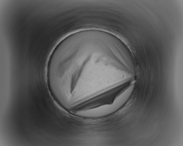 X0000092001535200710040958