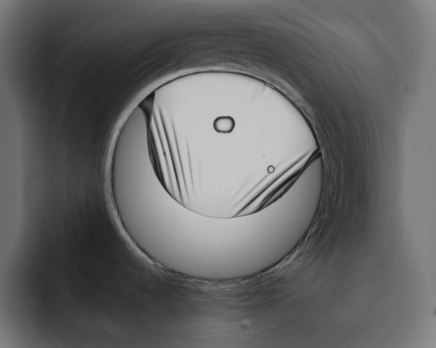 X0000092001536200710040958