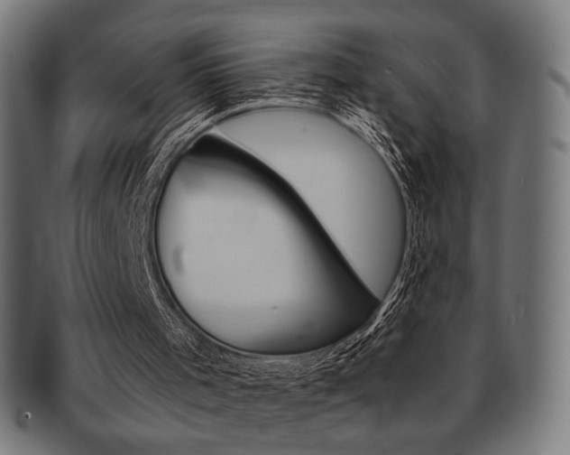 X0000092010001200709061318