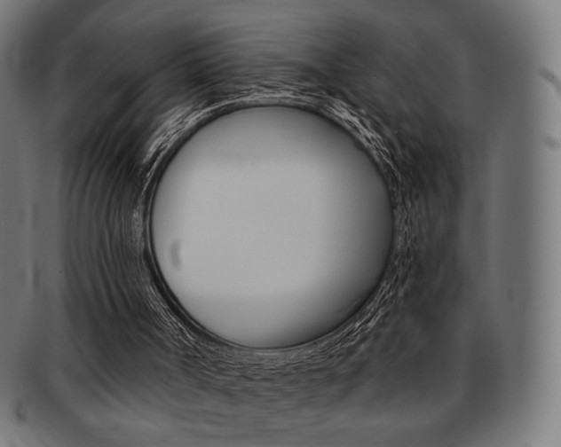 X0000092010002200709061318