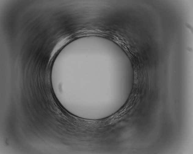 X0000092010004200709061318