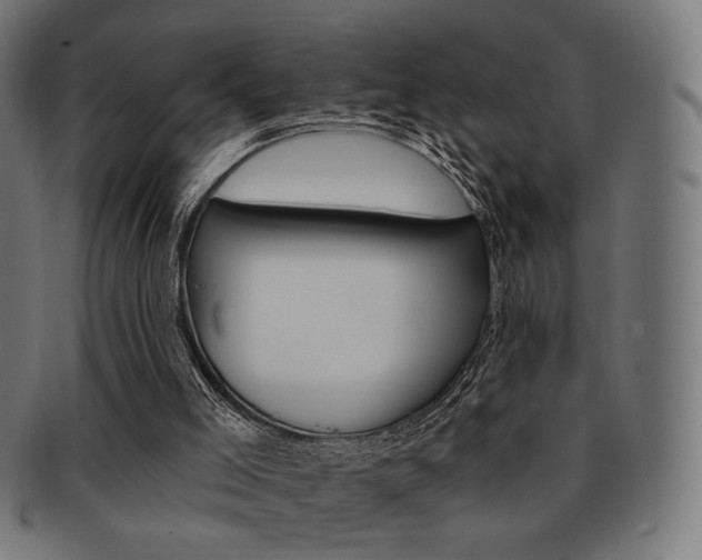 X0000092010005200709061318
