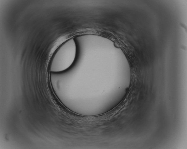 X0000092010006200709061318