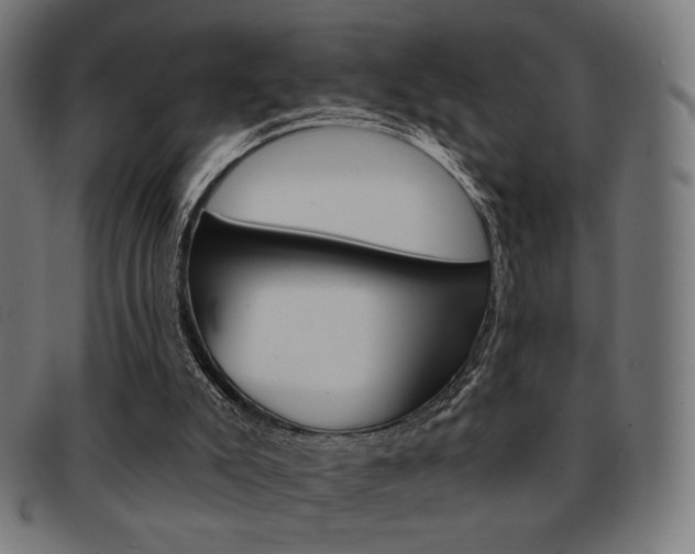 X0000092010007200709061318