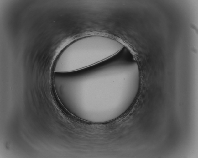 X0000092010008200709061318