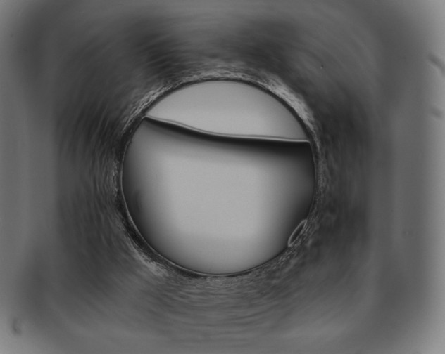 X0000092010009200709061318