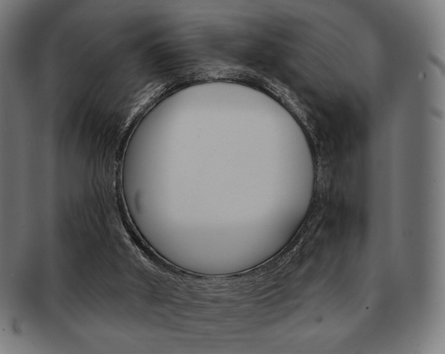 X0000092010010200709061318