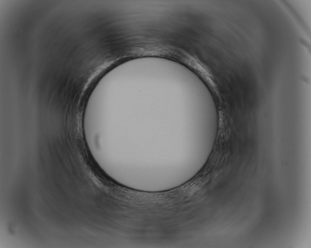 X0000092010012200709061318