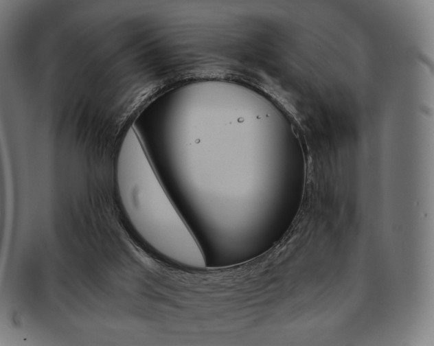X0000092010013200709061318