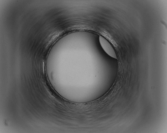 X0000092010014200709061318