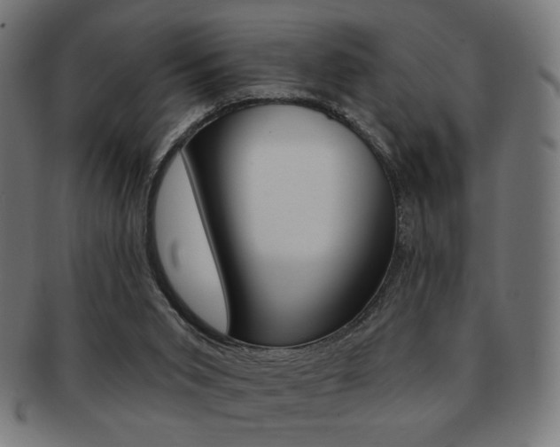 X0000092010015200709061318