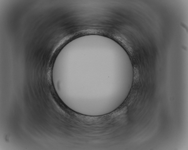 X0000092010016200709061318