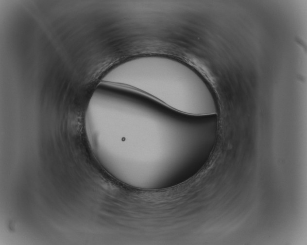 X0000092010017200709061318