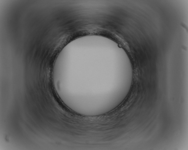 X0000092010018200709061318