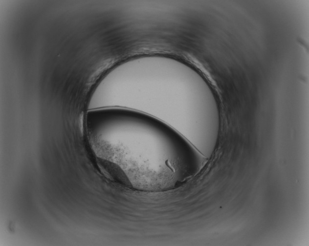 X0000092010019200709061318