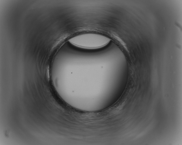 X0000092010020200709061318