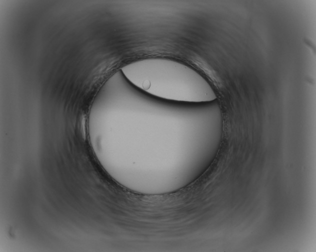 X0000092010022200709061318