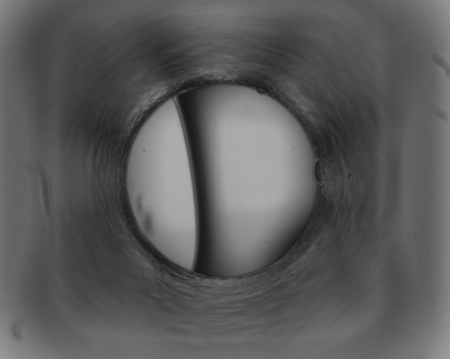 X0000092010023200709061318