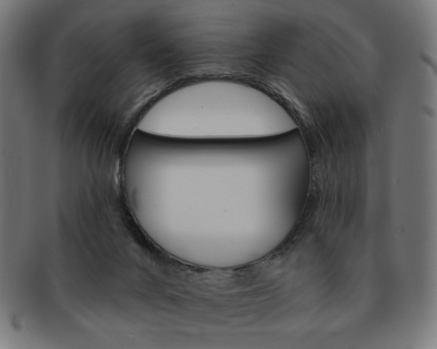 X0000092010024200709061318