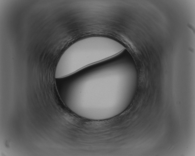 X0000092010025200709061318
