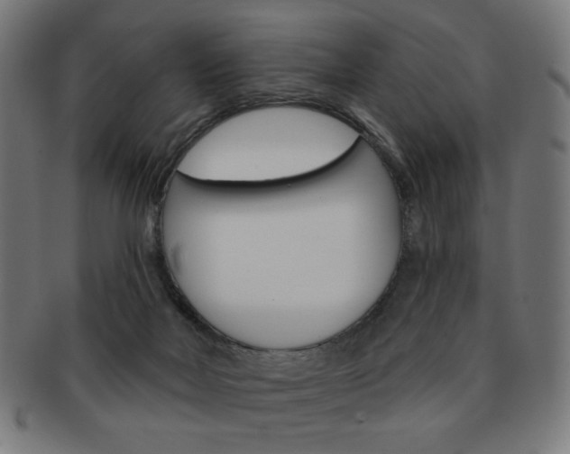 X0000092010026200709061318