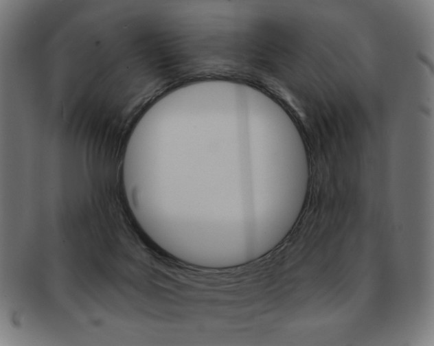 X0000092010027200709061318