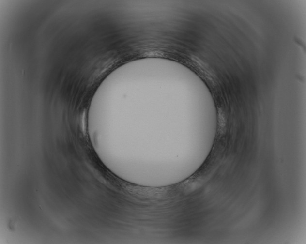 X0000092010028200709061318