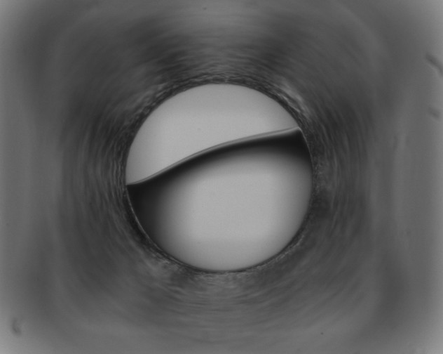 X0000092010029200709061318