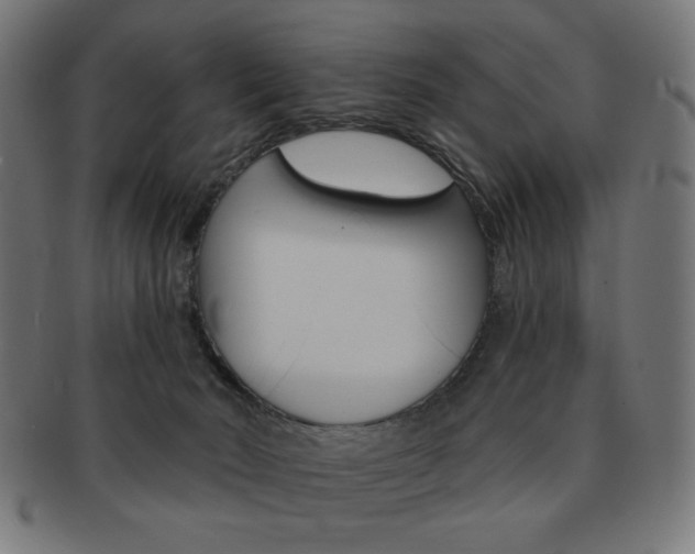 X0000092010030200709061318