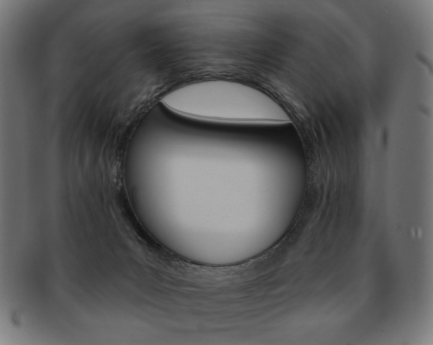 X0000092010031200709061318
