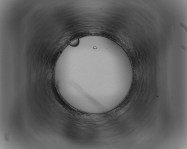 X0000092010032200709061318
