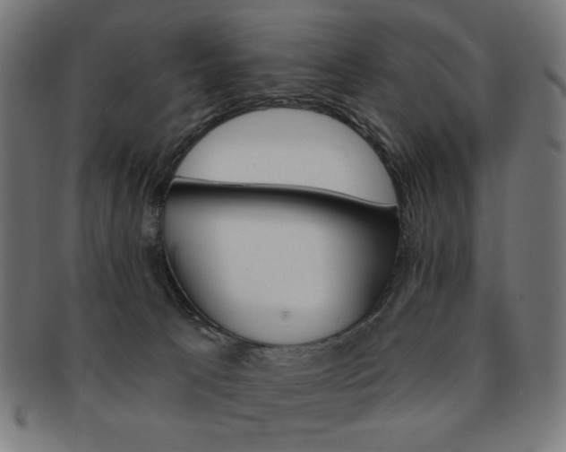 X0000092010033200709061318