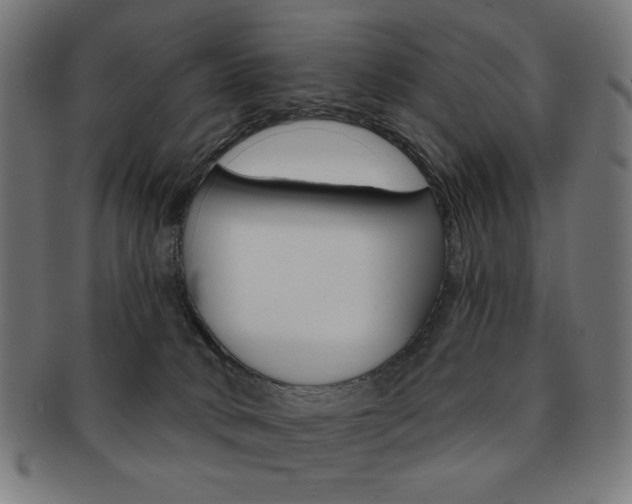X0000092010034200709061318