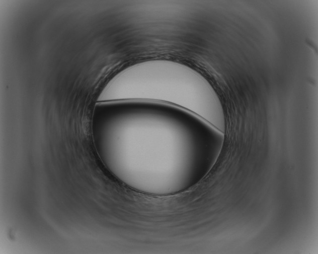 X0000092010035200709061318