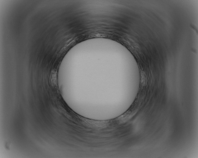 X0000092010036200709061318