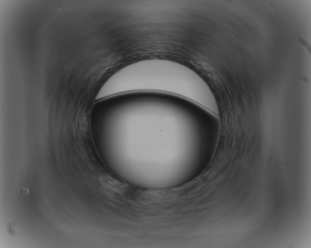 X0000092010037200709061318