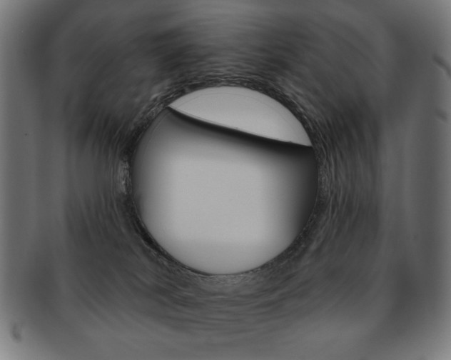 X0000092010038200709061318