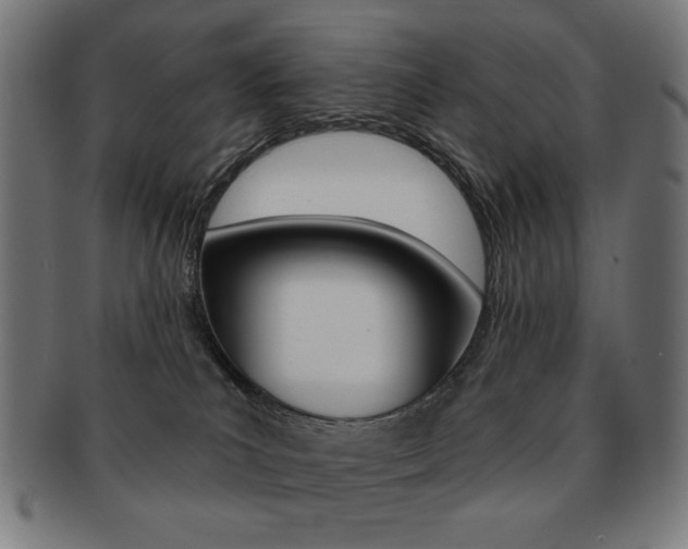 X0000092010039200709061318