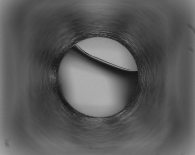 X0000092010040200709061318