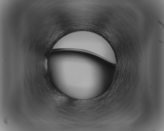 X0000092010041200709061318