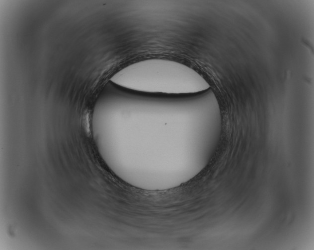 X0000092010042200709061318