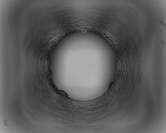 X0000092010043200709061318
