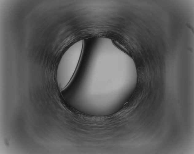 X0000092010044200709061318