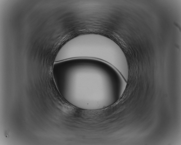X0000092010045200709061318